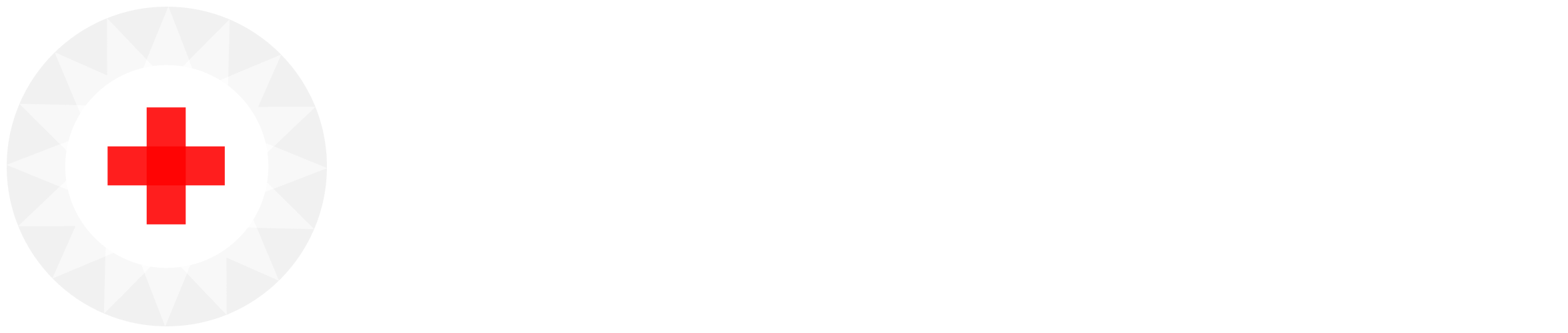 Station Health Logo White